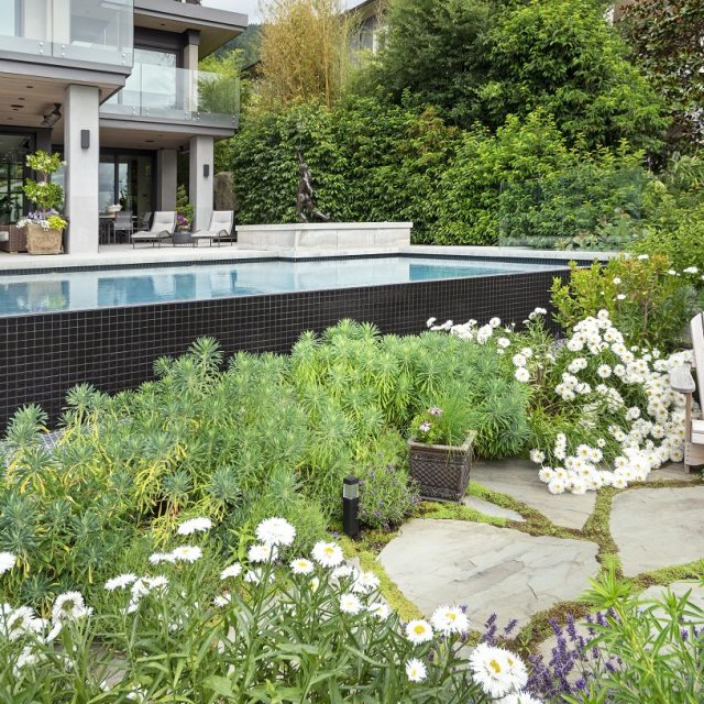 Alka Pool