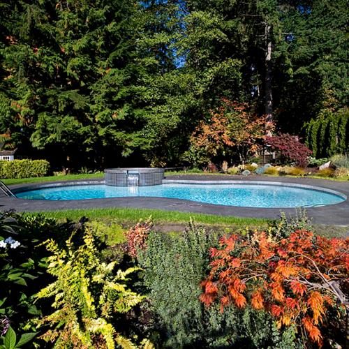 Embracing fall for your swimming pool