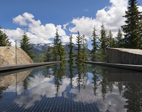 Large infinity pool looking out into the forest