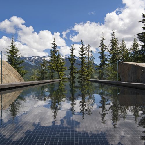 Large infinity pool looking out into the forest