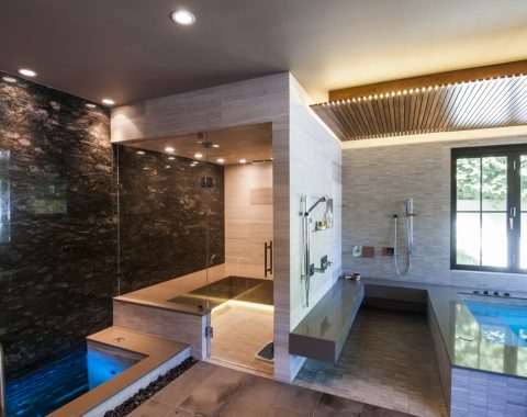 Indoor spa with plunge pool