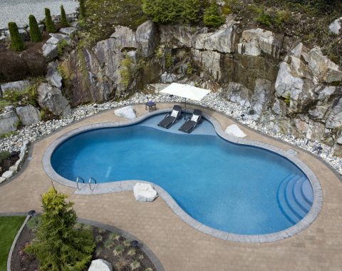 Full view of large freeform swimming pool