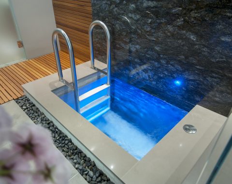 Indoor plunge pool with metal steps