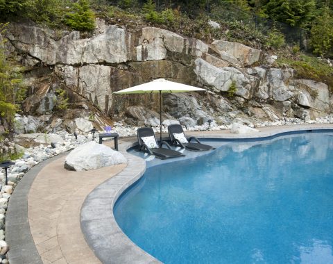 freeform swimming pool with tanning ledge