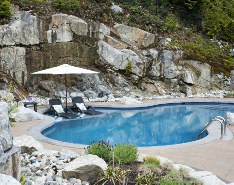 Freeform swimming pool with rocky terrain