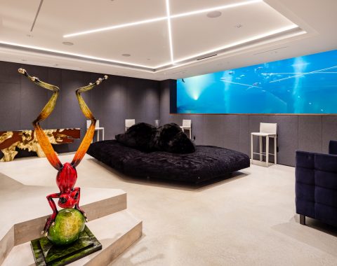 One the lower level of the house, one can view the koi pond through the acrylic panel in the indoor lounge.