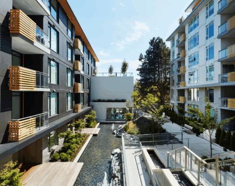 Enhancing this semi-commercial space is a long water feature made to look like it was a preexisting pond that the buildings were built around; a place to gather and connect.