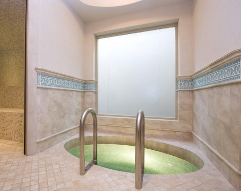 Plunge pool in home spa