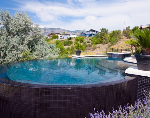 Curved infinity pool created to surround yourself with the landscape.