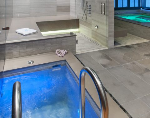 Therapy plunge pool in home spa