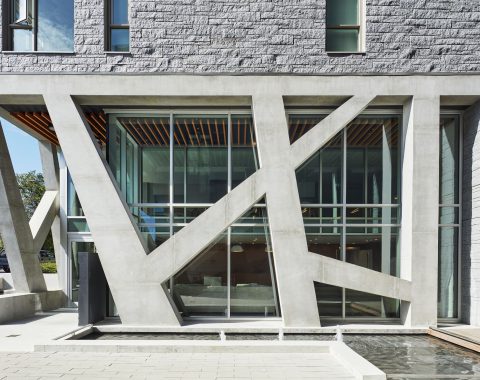 Bringing natural materials and the love of water to the concrete jungle of these modern high-rises.