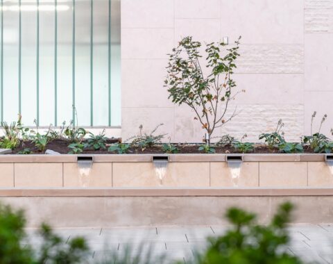 An elegant waterfall feature with a sleek design, surrounded by contemporary architectural elements and landscaped greenery, creating a welcoming and visually appealing space.