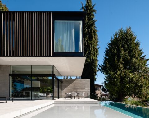 Side view of a luxury pool with Baja shelf, minimalist design, and neutral tones.